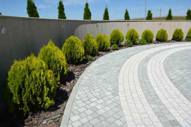 Best Professional Driveway Pavers  in Shorewood, MN